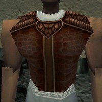 File:Armoredillo Hide Breastplate Live.jpg