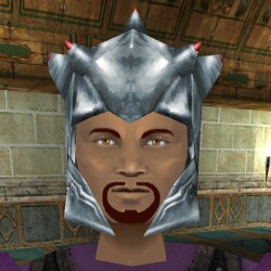 File:Blooded Silver Invader Lord Helm Live.jpg
