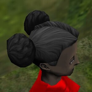 File:Haircut Skin Female 1 Texture Live.jpg