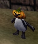 File:Pack Pumpkin P. Live.jpg