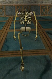 File:Skeletal Body with one Leg Live.jpg