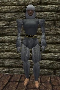 File:Chainmail Armor Argenory Live.jpg