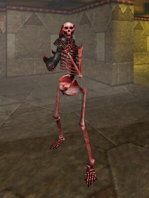 File:Skeletal Hero Live.jpg