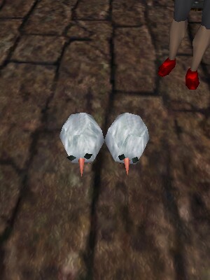 File:Two Headed Snowman Head Live.jpg