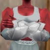 File:100px-Shadow Bracers Argenory Live.jpg