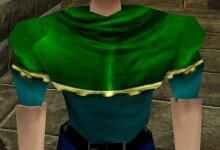 File:Coarse Hide Shirt Live.jpg
