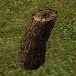 File:Hollowed-Out Tree Trunk Live.jpg