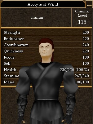 File:Acolyte of Wind.jpg