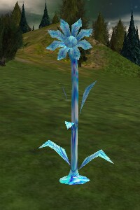 File:Snowflower Live.jpg