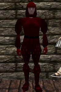 File:Studded Leather Armor Hennacin Live.jpg