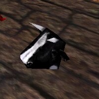 File:Cow Head Live.jpg