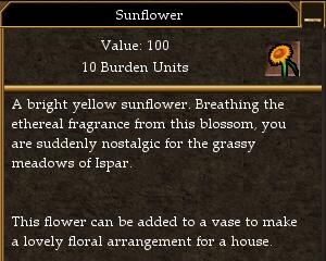 File:Sunflower.jpg