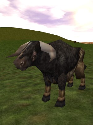 File:Auroch Bull Live.jpg