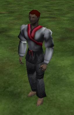 File:Sparring Shirt and Pants Live.jpg