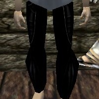 File:Yoroi Leggings Live.jpg