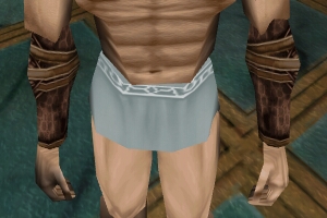 File:Armoredillo Hide Bracers Live.jpg
