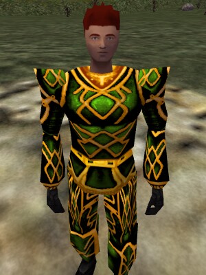File:Celdon Armor of Acid Live.jpg