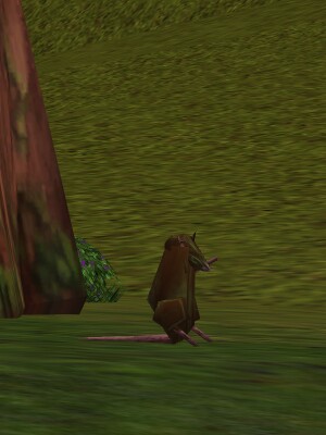 File:Tan Rat Live.jpg