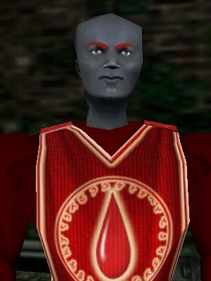 File:Society Pauldrons Armorsmith (Radiant Blood) Live.jpg