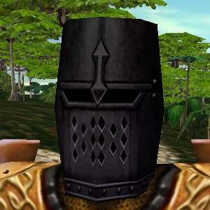File:Shadow Captain's Heaume Live.jpg