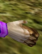File:Training Knuckles Live.jpg