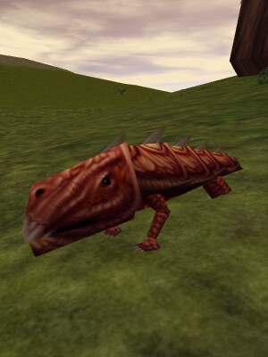File:Bronze Armoredillo Live.jpg