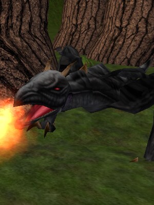 File:Adolescent Ivory Gromnie Live.jpg