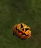 File:Marshmallow Pumpkin Live.jpg