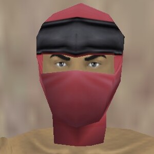 File:Reinforced Shou-jen Shozoku Mask Fail Live.jpg