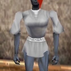 File:Baggy Tunic Argenory Live.jpg