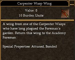 File:Carpenter Wasp Wing.jpg