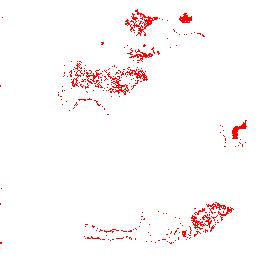 White Phyntos Wasp Spawns