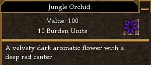 File:Jungle Orchid (Trophy).jpg