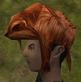File:Trapper's Hat Live.jpg