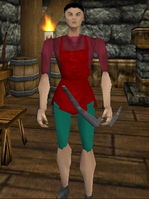File:Roaming Bowyer (Outskirts Bandit Castle) Live.jpg