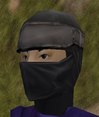 File:Shou-jen Shozoku Mask Live.jpg