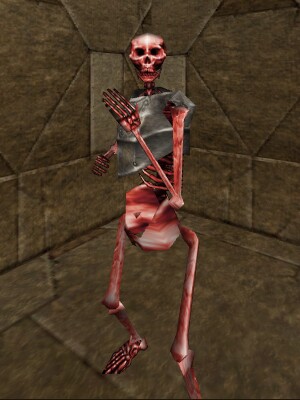 File:Skeletal Champion Live.jpg