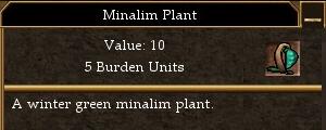 File:Minalim Plant.jpg