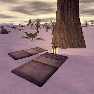 File:53.1S, 37.8E - Abandoned Campsite Live.jpg