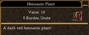 File:Hennacin Plant.jpg