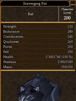 File:Scavenging Rat.jpg