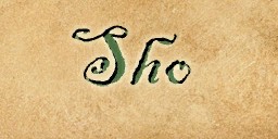 File:Sho (Town Network Sign) Live.jpg