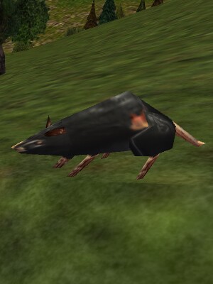 File:Wasteland Rat Live.jpg