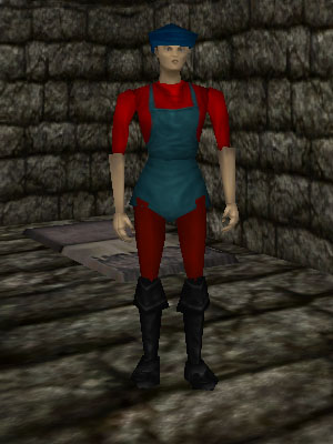 File:Archmage (33.7S, 79.9E) Live.jpg