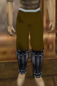 File:Reinforced Shou-jen Shozoku Trousers Berimphur Live.jpg