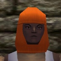 File:Scalemail Coif Live.jpg