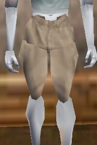 File:Aphus Wading Pants Live.jpg