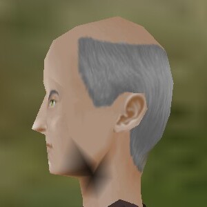 File:Haircut Shadows Male 5 Texture Live.jpg