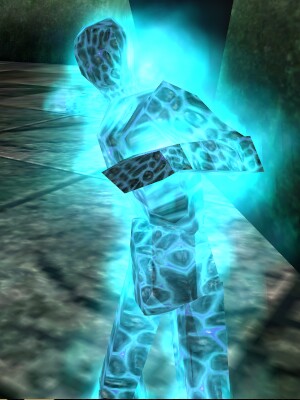 File:Elemental Protector (Frost) Live.jpg