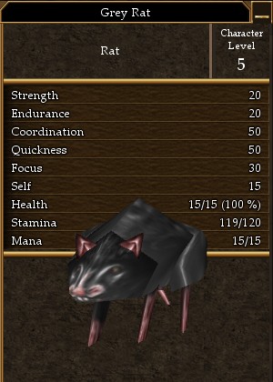 File:Grey Rat.jpg